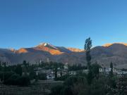 Top Leh