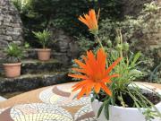 Top La Celle-sous-Gouzon