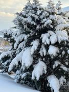 Top Hallein Top Hallein