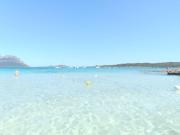 Top Olbia