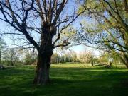 Top Moutiers-sous-Chantemerle