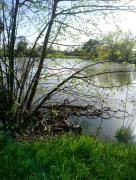 Top Moutiers-sous-Chantemerle