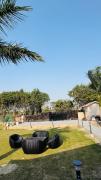 Top Noida Top Noida