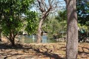 Top Tamarindo