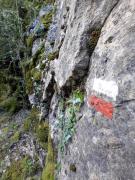 Top Saravillo