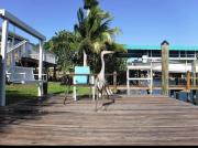 Top Saint James City