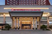 Top Dongguan