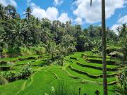 Gongwi Cottages Sidemen