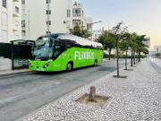 Top Armação de Pêra