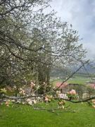 Amaizing mountain view 2-bed apartment in Villa Monte Bakuarini