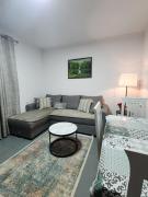 Rudi Apartment 1 in Tirana