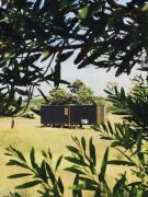 Serena - Tini Houses -