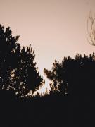 Top Mar de las Pampas