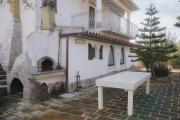 Top Solanas