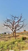 Top Pune