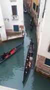 Top Venice