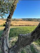 Top Monteroni dʼArbia