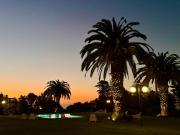 VISTAMAR ABANICO Maitencillo