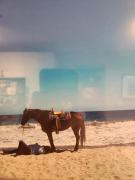 Beautiful Club La Costa Condo