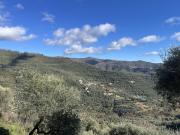 Apartment Rosa - VLO201 by Interhome