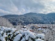 Top Piwniczna-Zdrój