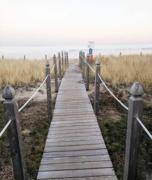 Across the street from the Beach Pet Friendly