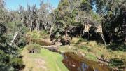 Top Nannup