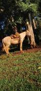 Top Bocaina do Sul