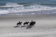 Top Myrtle Beach