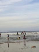 Top Kỳ Trân (1)