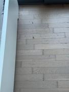 Premium Renovated Ground Floor Apartment