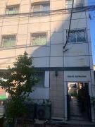 Grace Heiwajima by Tranova