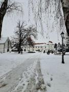 Apartment in the city center