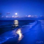 Blue Moon Villa