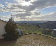 Top São João da Pesqueira