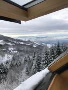 Chalet Pinecone - Ušuškan apartman, savršen za zimu i leto - Modern Mountain Retreat with Stunning View