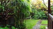Top Ubud