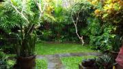 Top Ubud