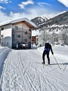 Nanisgarten - Grannys flat