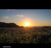 Top Pantelleria