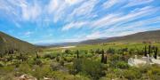 Top Montagu