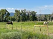 Top Victor