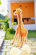 Top Puducherry