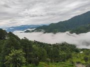 Top Pauri