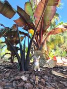 Top La Cadière-dʼAzur