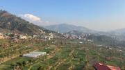 Slow living, Solan