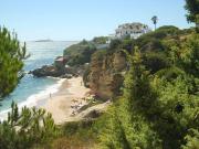 Top Barbate