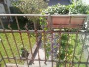 Top Certosa di Pavia