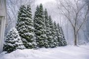 Top North Kingstown