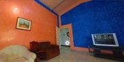 Top Palmira